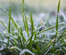Tips on how to care for your lawn during winter