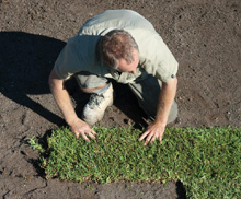 How to lay instant turf slabs