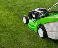 Mow your lawn regularly for best results