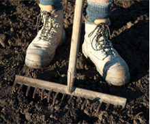 Soil preparation is crucial before planting lawn.
