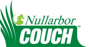 Nullarbor Couch Lawn