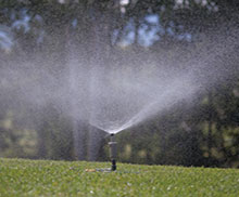 Sprinklers are required to water your lawn