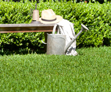 Sir Walter Buffalo, Eureka Kikuyu, couch and fescue are varieties Sunnyside Instant Lawn have available.