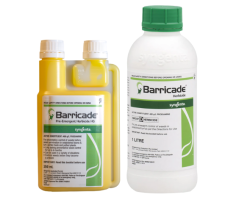 Barricade, used to protect lawn from winter weeds