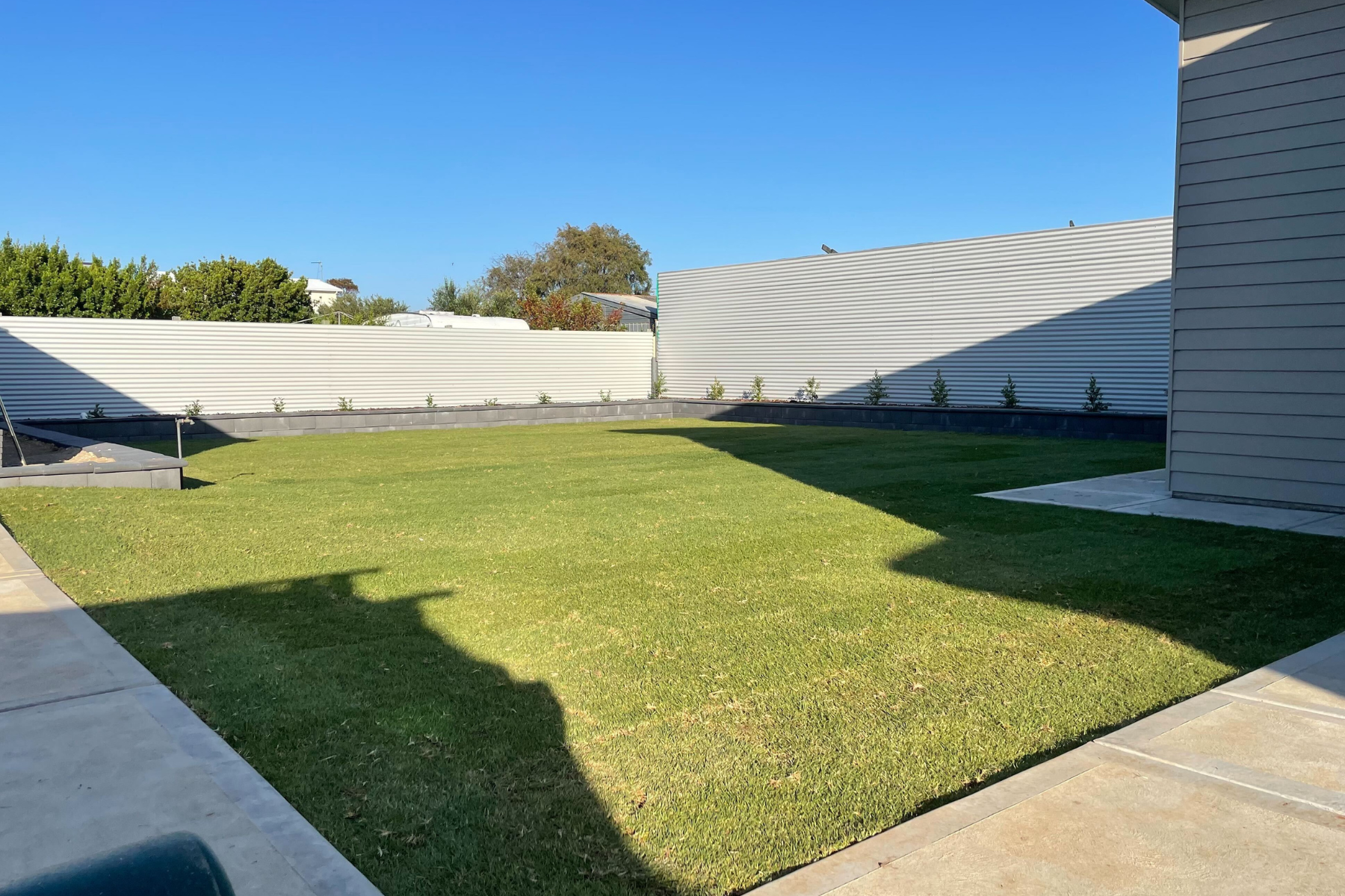Freshly installed Eureka Kikuyu in front of a new home