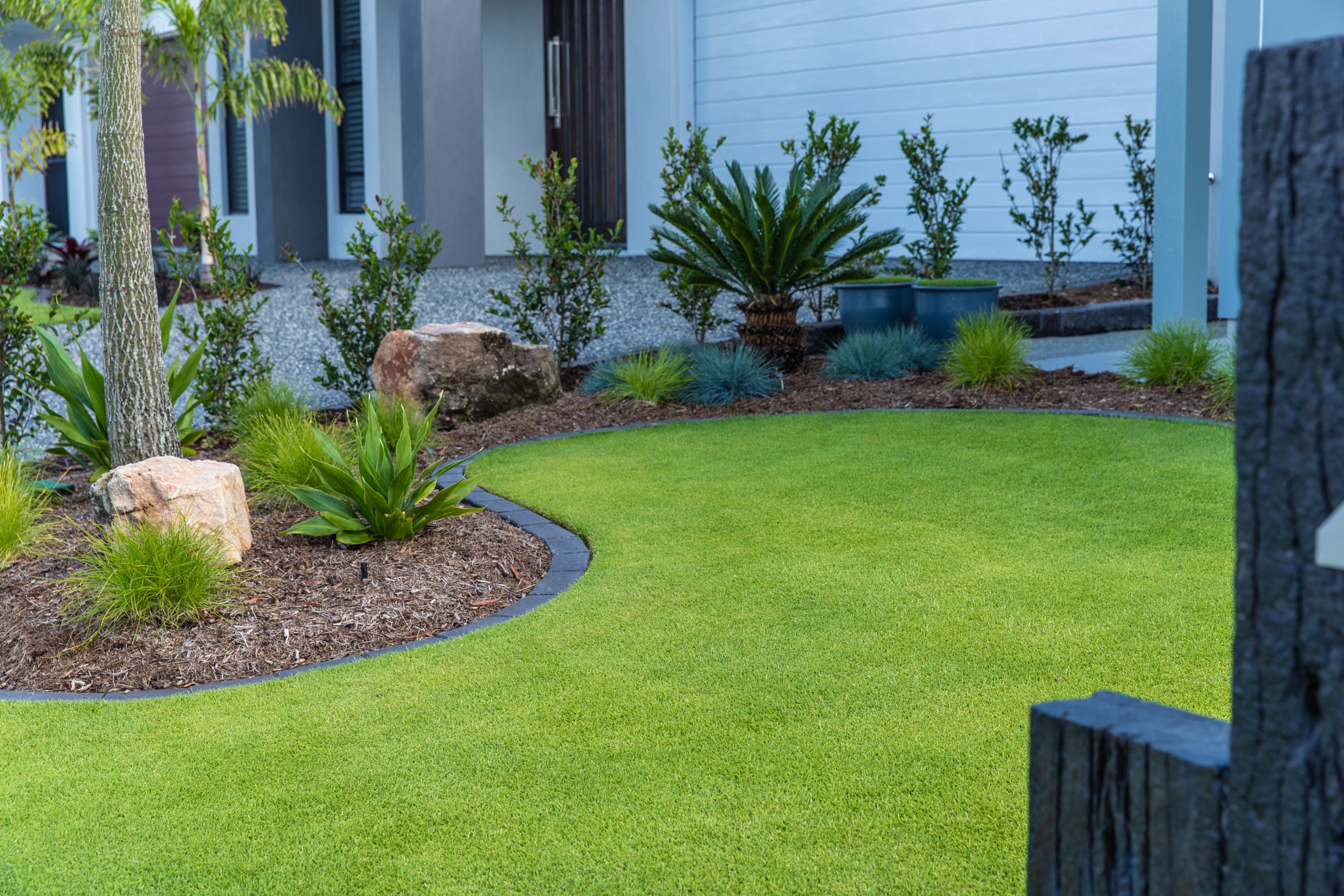 Sir Grange Zoysia lawn